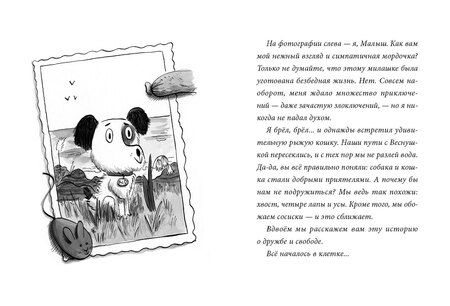 Фотография книги "Катрин Поше: Малыш и Веснушка"