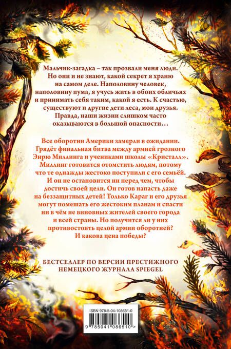 Фотография книги "Катя Брандис: Дети леса. День огня"