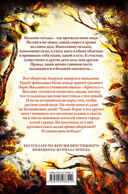 Фотография книги "Катя Брандис: Дети леса. День огня"