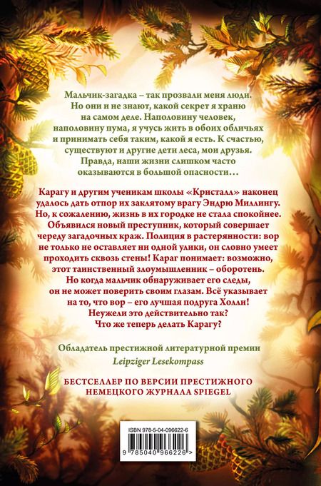 Фотография книги "Катя Брандис: Дети леса. Тайна Холли (#3)"