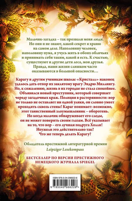 Фотография книги "Катя Брандис: Дети леса. Тайна Холли (#3)"