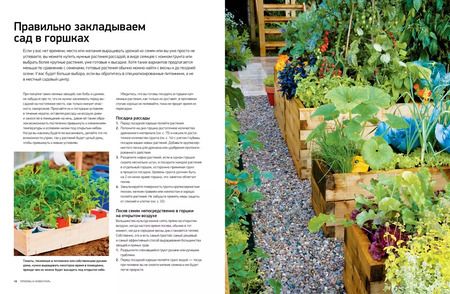 Фотография книги "Кей Магуайр: Сад и огород в горшках и контейнерах"