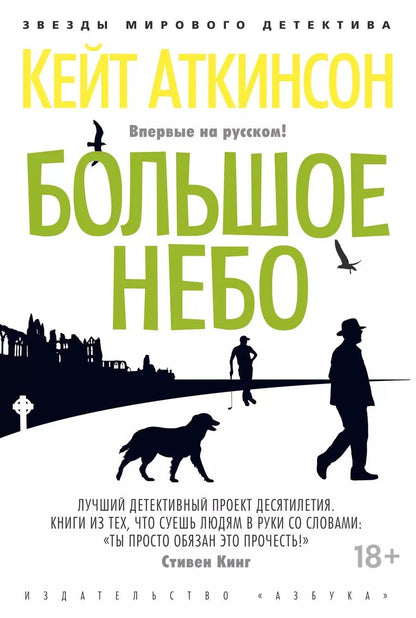 Обложка книги "Кейт Аткинсон: Большое небо"