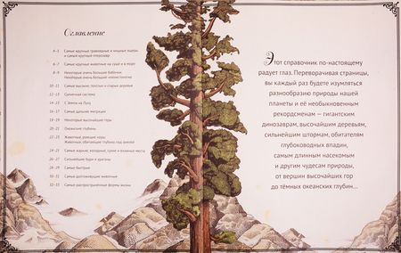 Фотография книги "Кейт Бейкер: Высокая гора. Глубокий океан. Иллюстрированный сборник чудес природы"