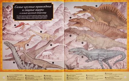 Фотография книги "Кейт Бейкер: Высокая гора. Глубокий океан. Иллюстрированный сборник чудес природы"