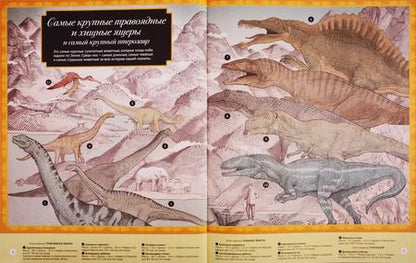 Фотография книги "Кейт Бейкер: Высокая гора. Глубокий океан. Иллюстрированный сборник чудес природы"