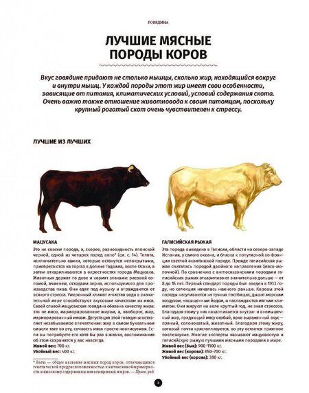 Фотография книги "Кен Ле: Мясо. Полное иллюстрированное руководство"