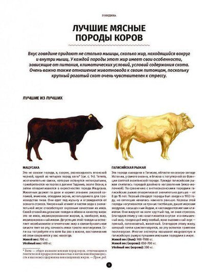 Фотография книги "Кен Ле: Мясо. Полное иллюстрированное руководство"