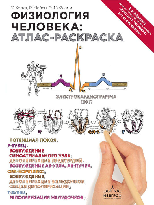 Обложка книги "Кэпит, Мейси, Мейсами: Физиология человека: атлас-раскраска"