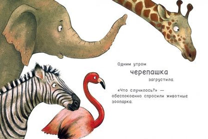 Фотография книги "Керстин Шене: Самая быстрая черепашка"