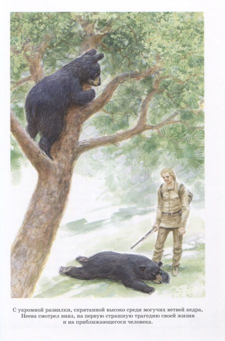 Фотография книги "Кервуд: Бродяги Севера"