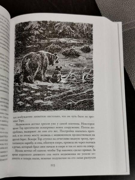 Фотография книги "Кервуд: Бродяги Севера"