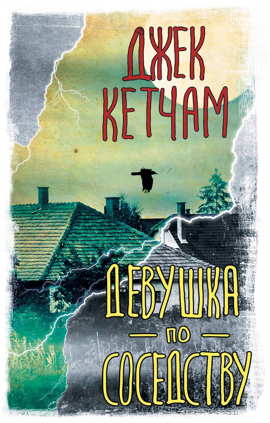 Обложка книги "Кетчам: Девушка по соседству"