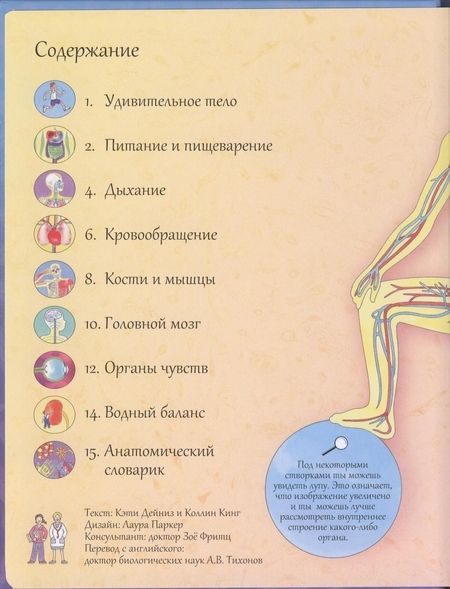 Фотография книги "Кэти Дэйнс: Открой тайны человека. 52 секретные створки"