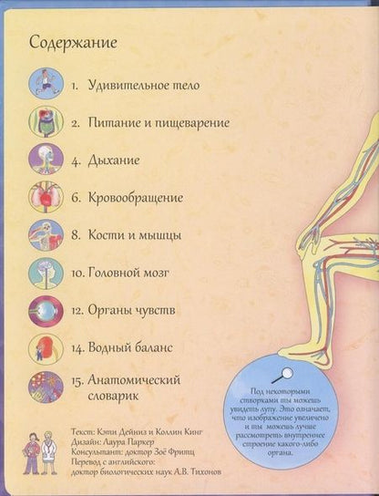 Фотография книги "Кэти Дэйнс: Открой тайны человека. 52 секретные створки"