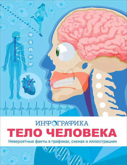 Обложка книги "Кевин Петтман: Тело человека. Инфографика"