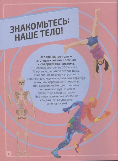 Фотография книги "Кевин Петтман: Тело человека. Инфографика"