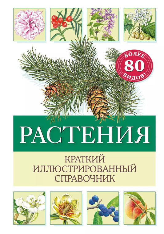 Обложка книги "Хааг Хольгер: Растения. Краткий иллюстрированный справочник"