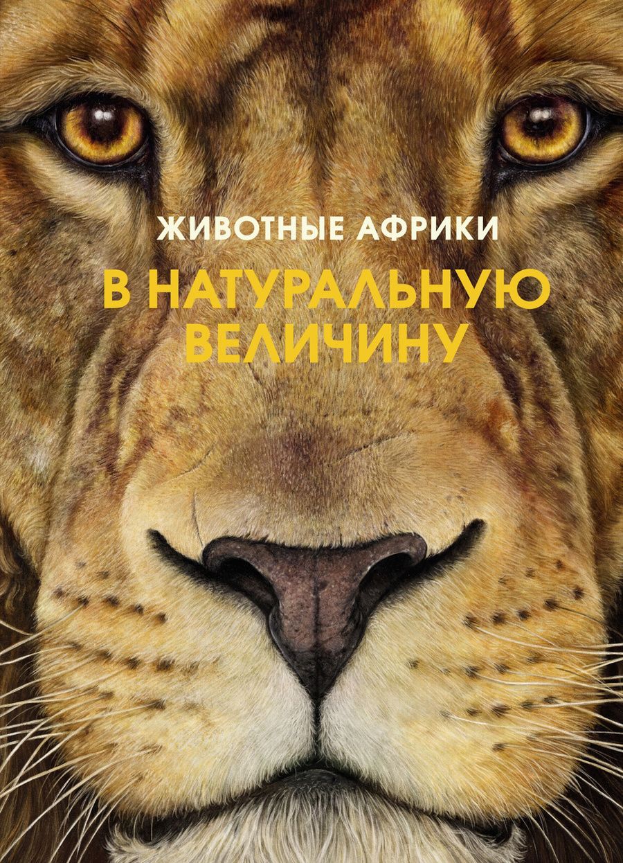 Обложка книги "Хааг: Животные Африки в натуральную величину"