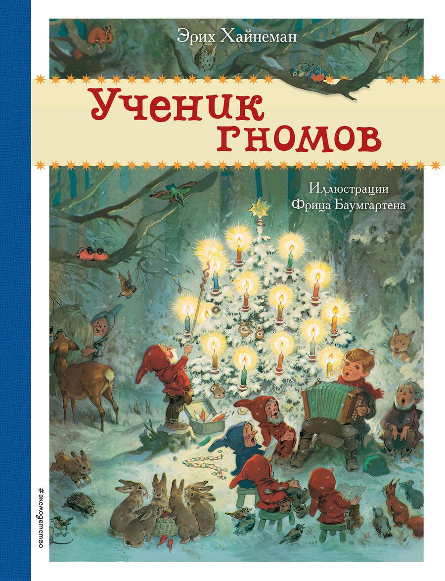 Обложка книги "Хайнеманн: Ученик гномов"