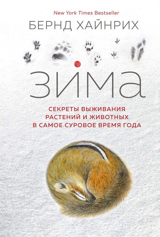 Обложка книги "Хайнрих: Зима. Секреты выживания растений и животных в самое суровое время года"