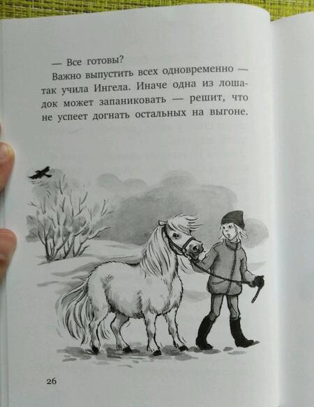 Фотография книги "Халлберг: Вперёд, Сигге!"