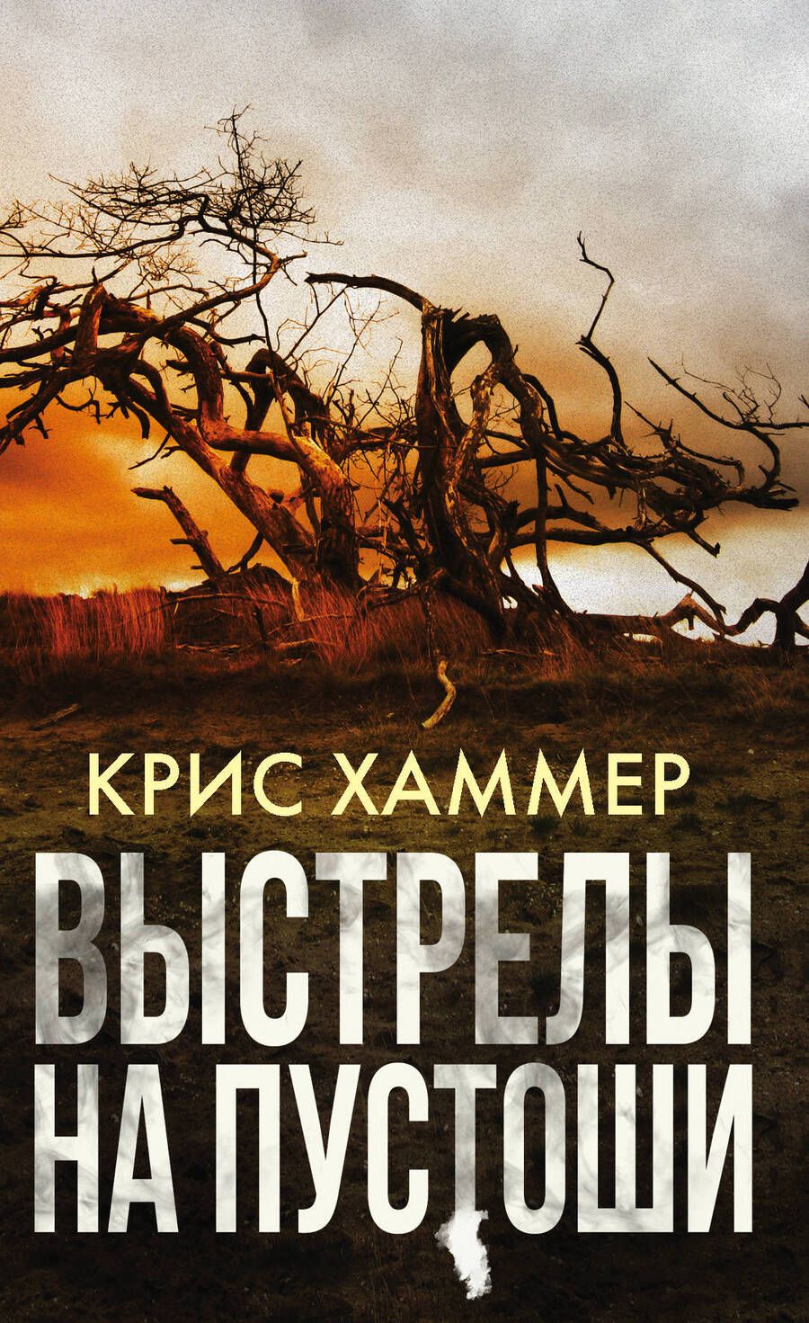 Обложка книги "Хаммер: Выстрелы на пустоши"