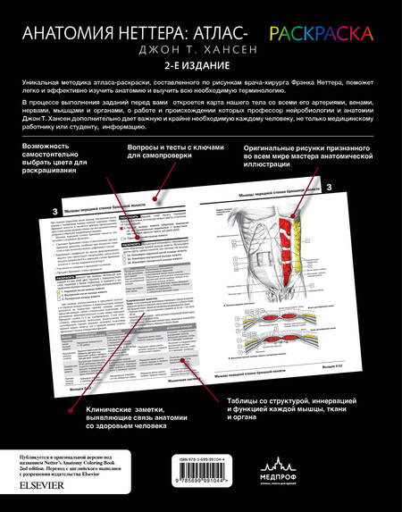 Фотография книги "Хансен: Анатомия Неттера. Атлас-раскраска"