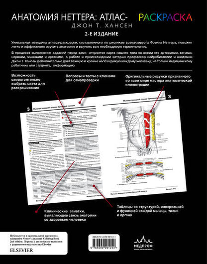 Фотография книги "Хансен: Анатомия Неттера. Атлас-раскраска"