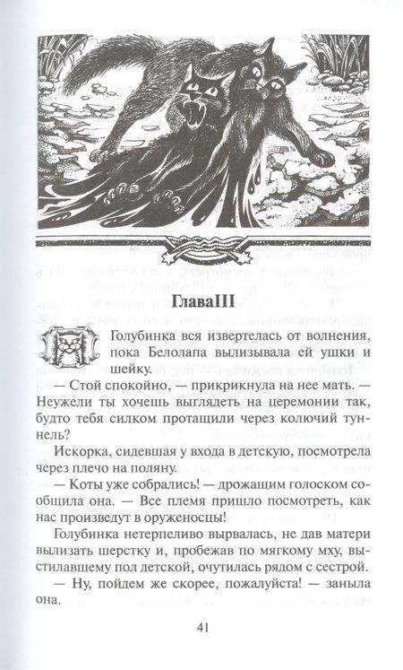 Фотография книги "Хантер: Четвертый оруженосец"