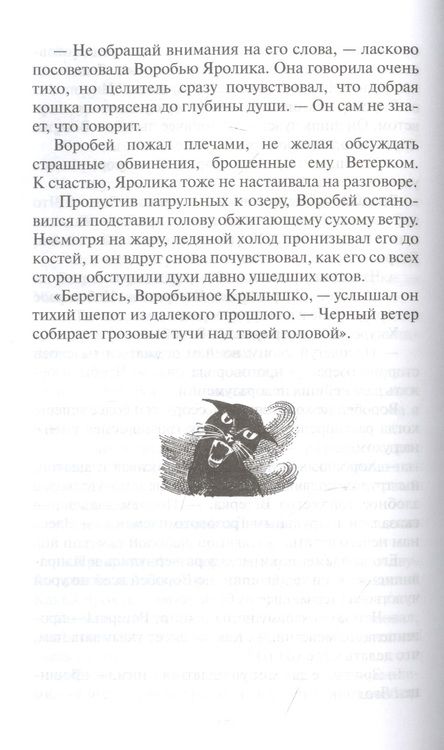 Фотография книги "Хантер: Четвертый оруженосец"