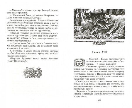 Фотография книги "Хантер: Пророчество Синей Звезды. Выбор"