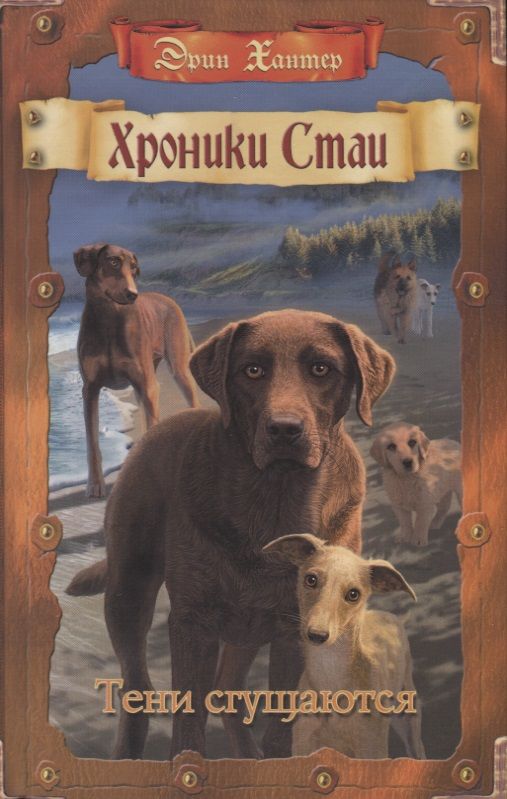 Обложка книги "Хантер: Тени сгущаются"