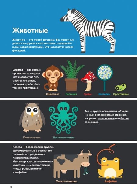Фотография книги "Харриет Брандл: В мире животных. Инфографика"
