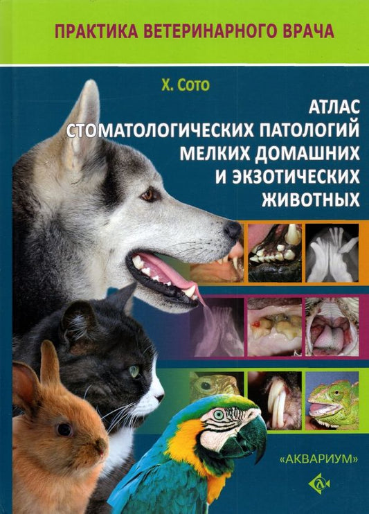 Обложка книги "Хавьер Сото: Атлас стоматологических патологий мелких домашних и экзотических животных"