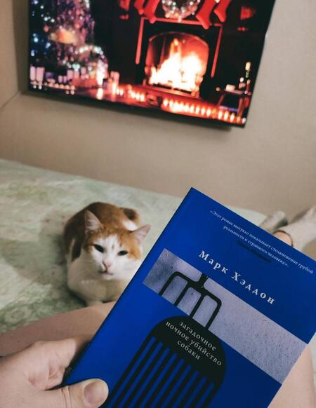 Фотография книги "Хэддон: Загадочное ночное убийство собаки"