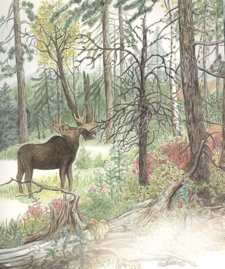 Фотография книги "Хэй: Сяо Хань - Маленький лось"