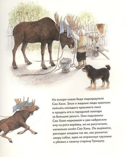 Фотография книги "Хэй: Сяо Хань - Маленький лось"