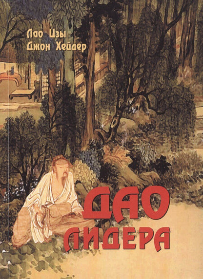 Обложка книги "Хейдер: Дао лидера"