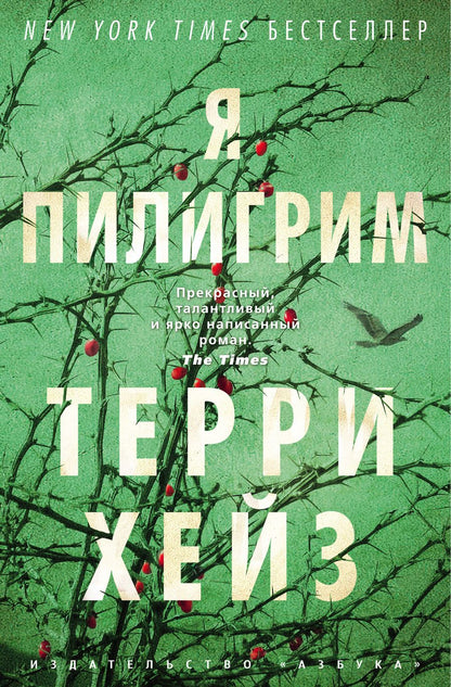 Обложка книги "Хейз: Я Пилигрим"