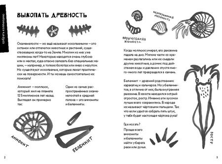 Фотография книги "Хек: 50 познавательных игр на природе"