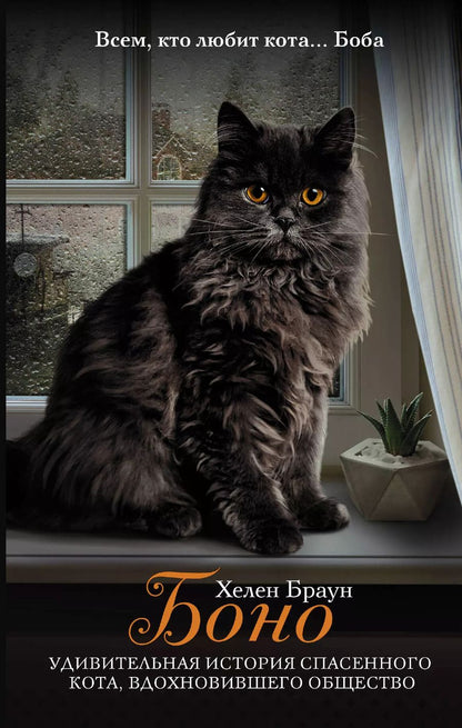 Обложка книги "Хелен Браун: Боно. Удивительная история спасенного кота, вдохновившего общество"