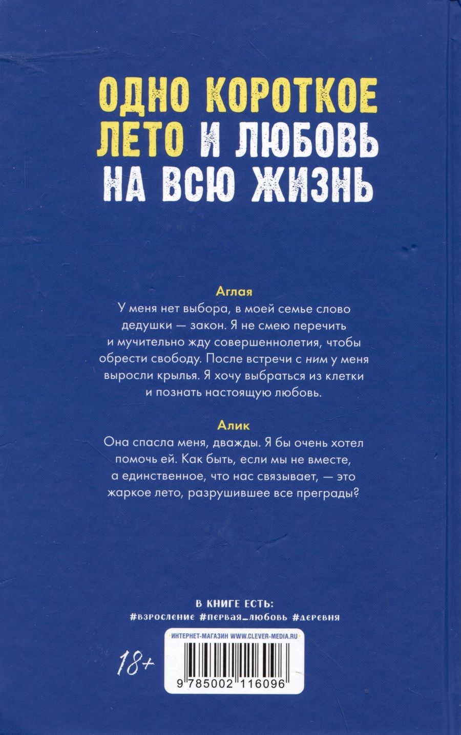 Обложка книги "Хелена Хейл: Сердце лета"