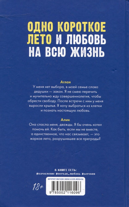 Обложка книги "Хелена Хейл: Сердце лета"