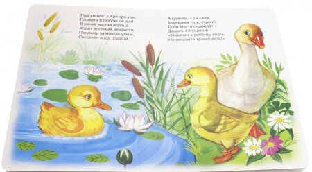 Фотография книги "Хесин: Утренние голоса"