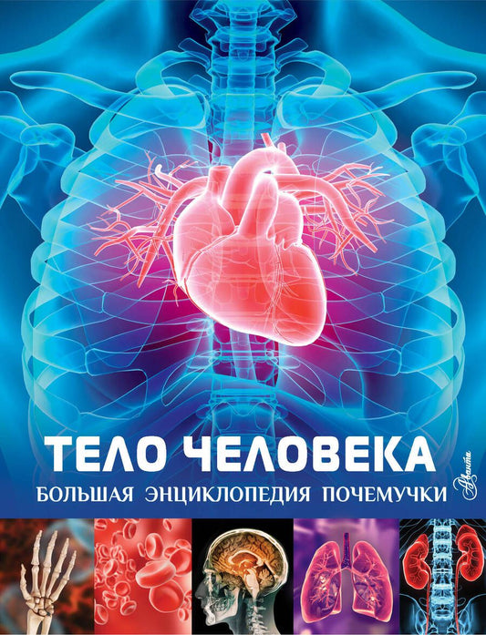 Обложка книги "Хибберт: Тело человека"