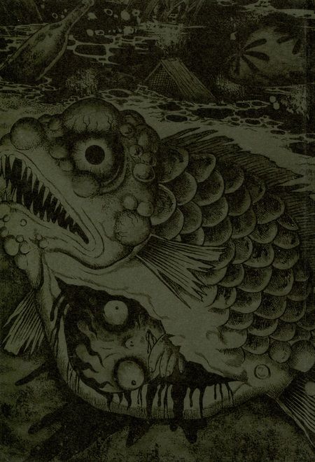 Фотография книги "Хидеши Хино: Костяная кукла и другие обитатели мандалы"