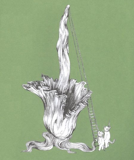 Фотография книги "Хигучи Юко: Мяузей. Безумная раскраска от художницы из Японии"