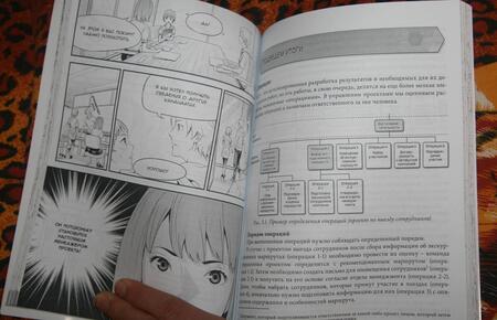 Фотография книги "Хироканэ Осаму: Занимательная манга. Управление проектами"