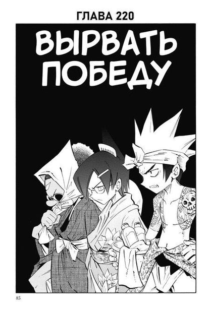 Фотография книги "Хироюки Такэи: Король шаманов. Том 13 (Shaman King). Манга"